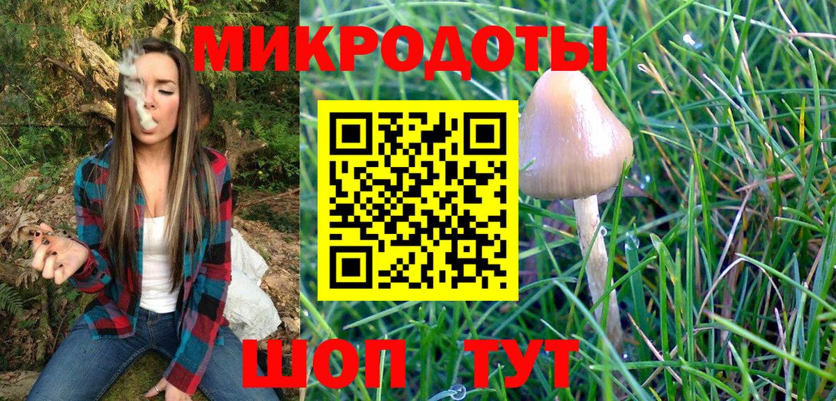 Галлюциногенные грибы MAGIC MUSHROOMS  купить закладку  Солнечногорск  Вход с VPN 
